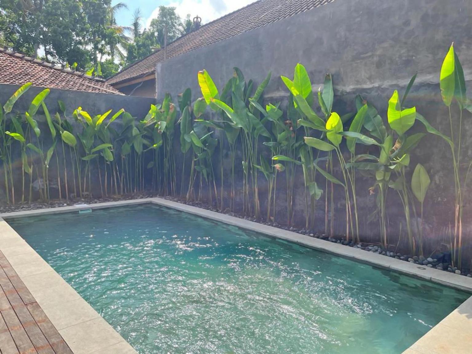 Pondok Eka Wood Ubud Szoba fotó